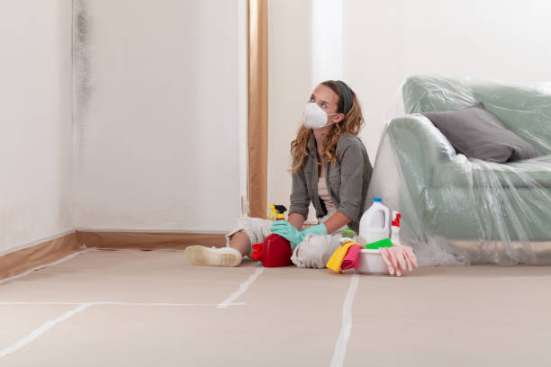 Reliable Basement Mold Remediation contractor in Neshanic Station, NJ by Mold Remediation HQ